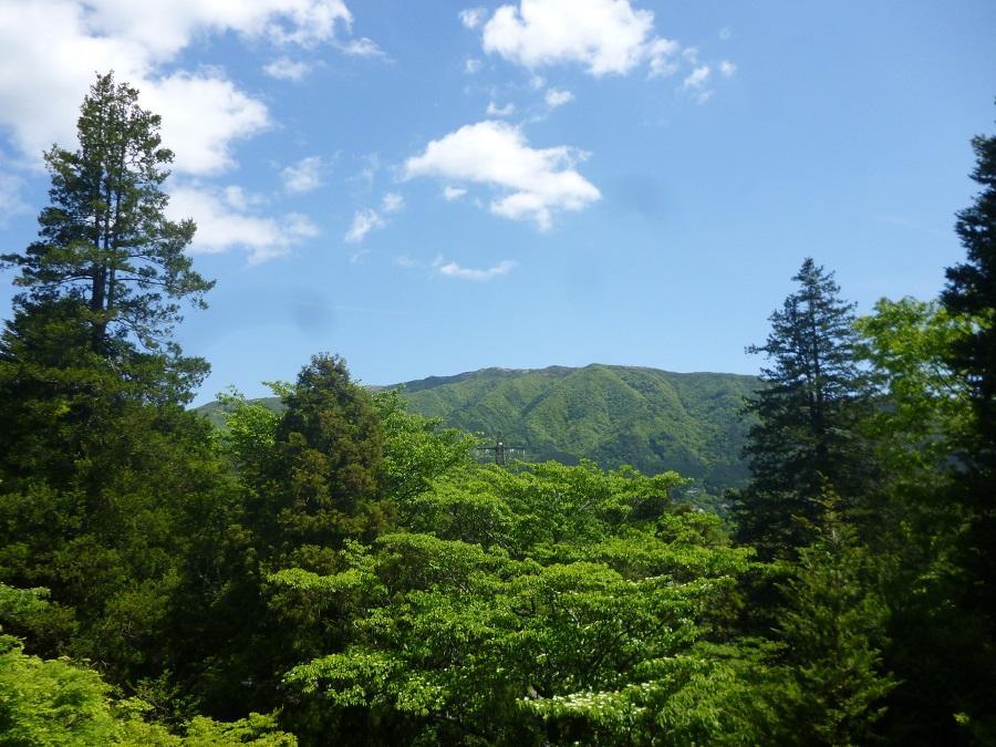 Kaze No Ne Hotel Hakone Buitenkant foto